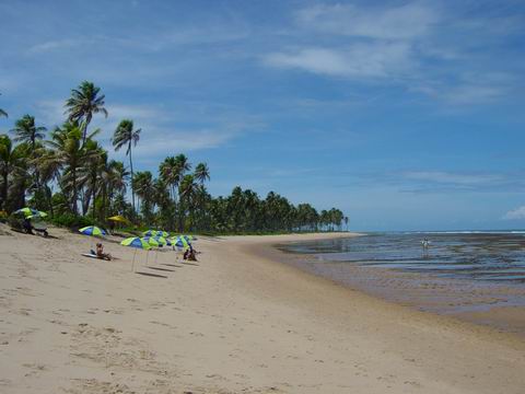 praiadoforte1.jpg